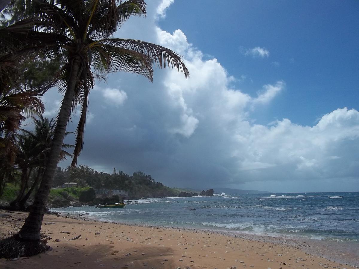 Ocean Ridge At Long Beach Christ Church Exteriör bild